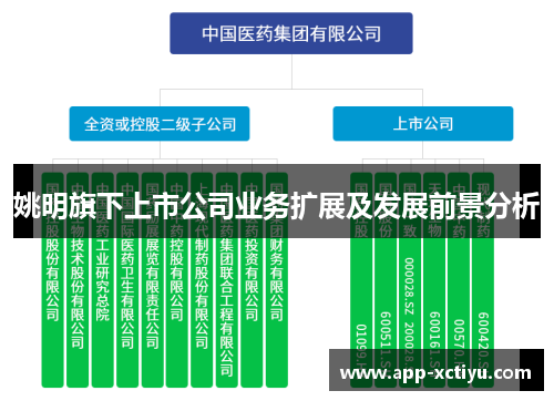 姚明旗下上市公司业务扩展及发展前景分析